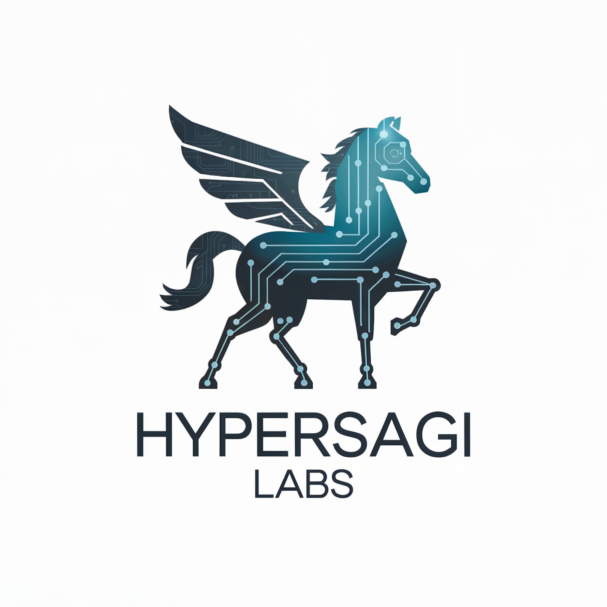 HyperSagi Labs